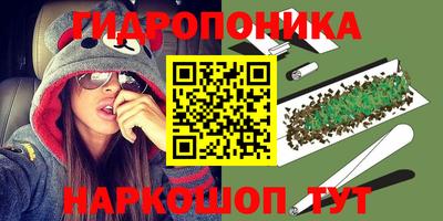 индика Заволжье