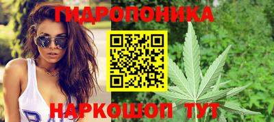 индика Заволжье