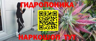 МДПВ Дубна