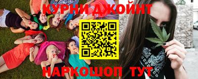 МДПВ Дубна