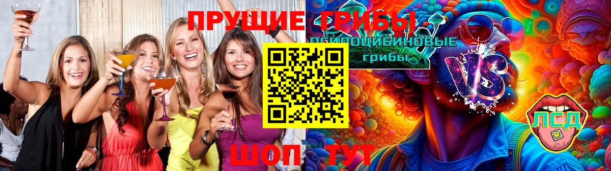 Нальчик  Псилоцибиновые грибы Magic Shrooms  где продают наркотики  Вход с VPN 